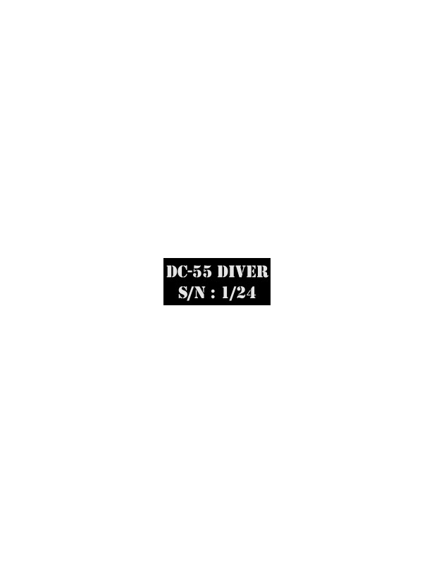Logo DC55 Diver Coeur